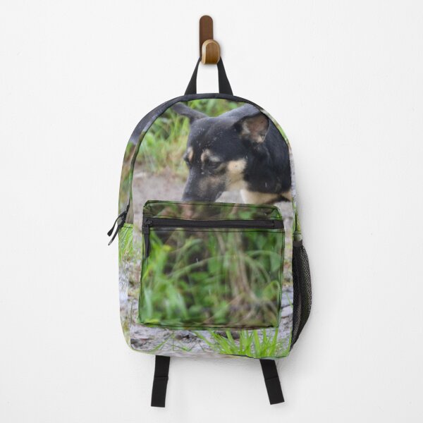 Item preview, Street Dog designed and sold by Capture Room.