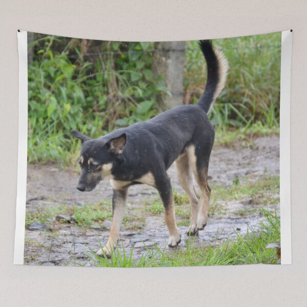 Item preview, Street Dog designed and sold by Capture  Room.