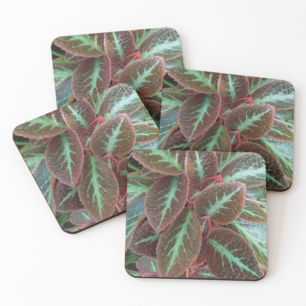 Item preview, Coasters (Set of 4) designed and sold by Raveen-Create.