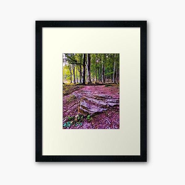 forrest Framed Art Print