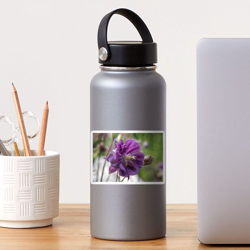 Summer meadow purple Aquilegia flower Sticker