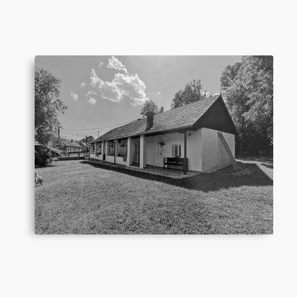 village house Metal Print