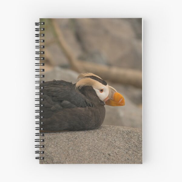 Item preview, Tufted Puffin, Alaska designed and sold by SusanAdey.