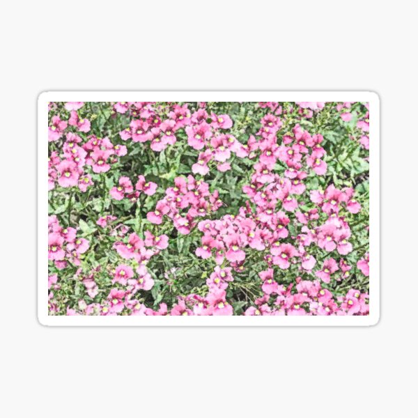 Pink Flowers Sticker