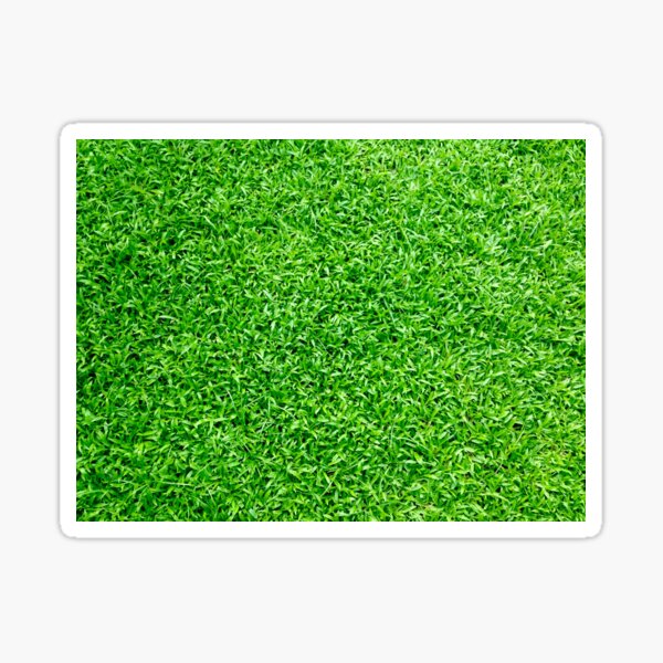 Item preview, Grassy Meadows - Football Grass designed and sold by cypher33.