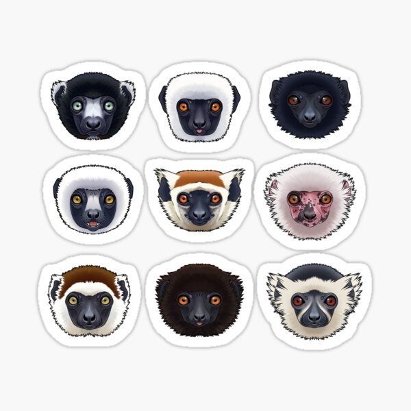 Sifaka-Liebhaber Sticker