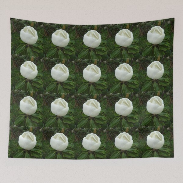Item preview, Almost Open - Naturally Inspirational designed and sold by KazM.