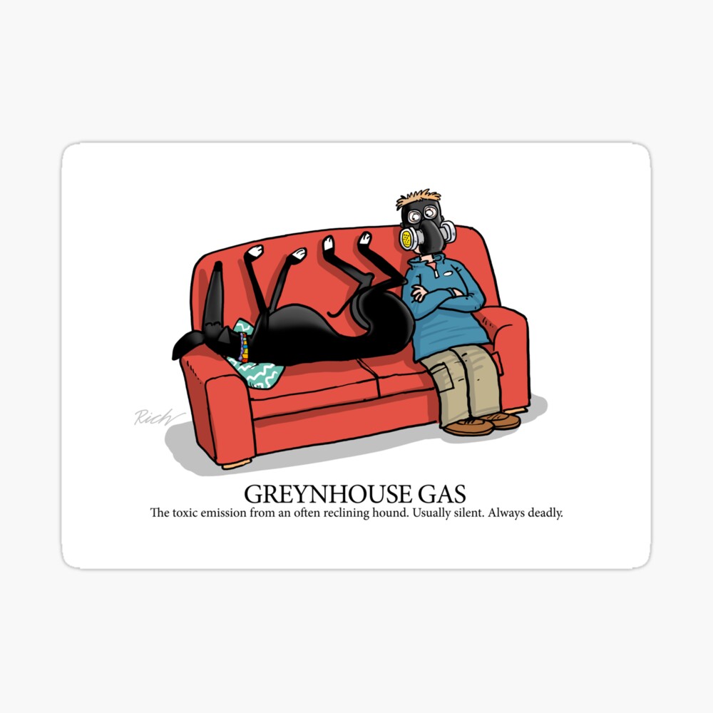 Rich Skipworth Greyhound Cartoons Ubicaciondepersonas Cdmx Gob Mx