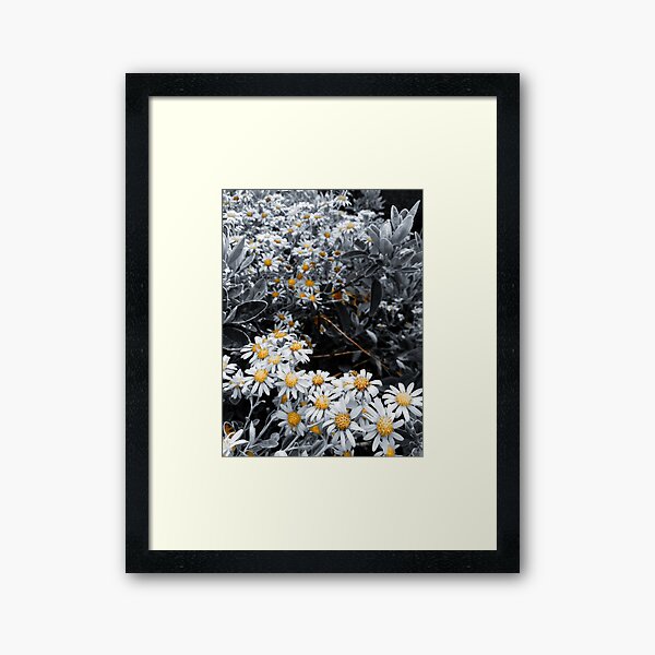 flowers Framed Art Print