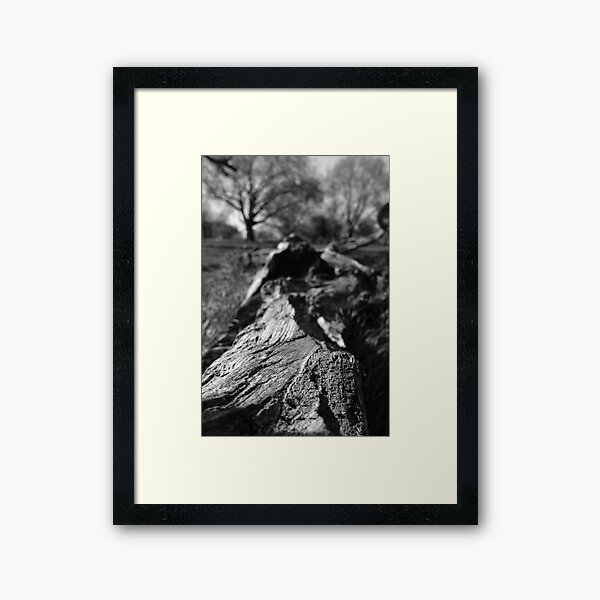 texture Framed Art Print