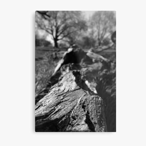 texture Metal Print
