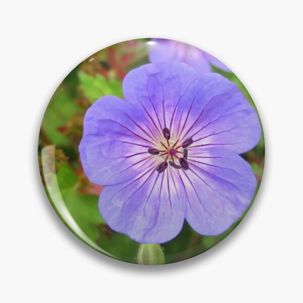 Item preview, Himalayan cranesbill By RMZartZ  designed and sold by RMSartZ.
