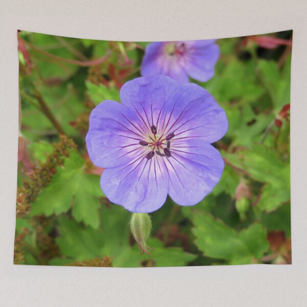 Item preview, Himalayan cranesbill By RMZartZ  designed and sold by RMSartZ.