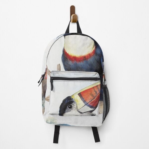 Item preview, Red-Billed Toucan by Aert Schouman designed and sold by redoARTstore.