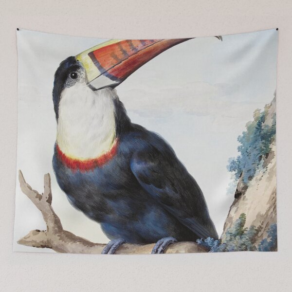 Item preview, Red-Billed Toucan by Aert Schouman designed and sold by redoARTstore.