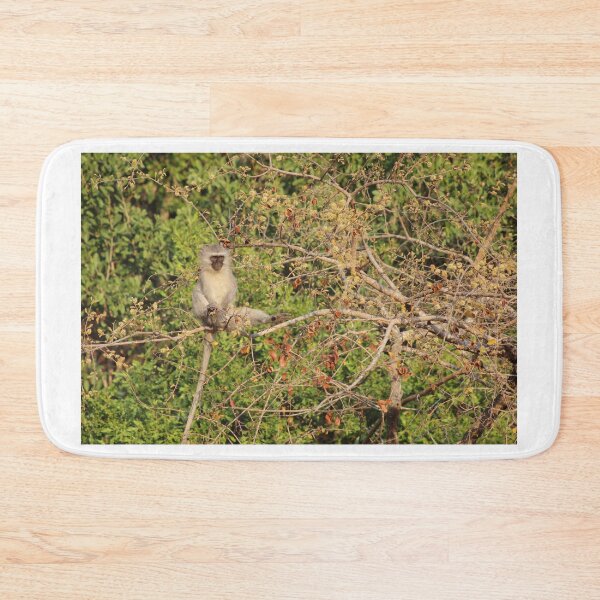 Item preview, Vervet Monkey In Canopy designed and sold by SliceOfTheWild.