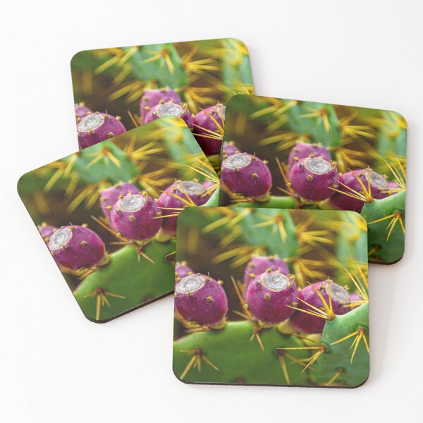 Item preview, Prickly pear fruits designed and sold by Dalyndigital Photography.