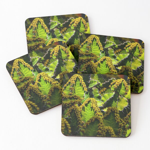 Item preview, Light outlining cacti flowers designed and sold by Dalyndigital Photography.