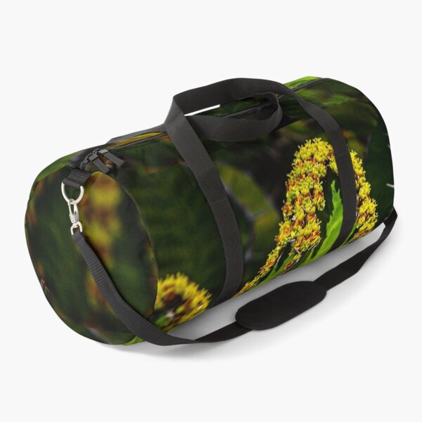 Item preview, Light outlining cacti flowers designed and sold by Dalyndigital Photography.