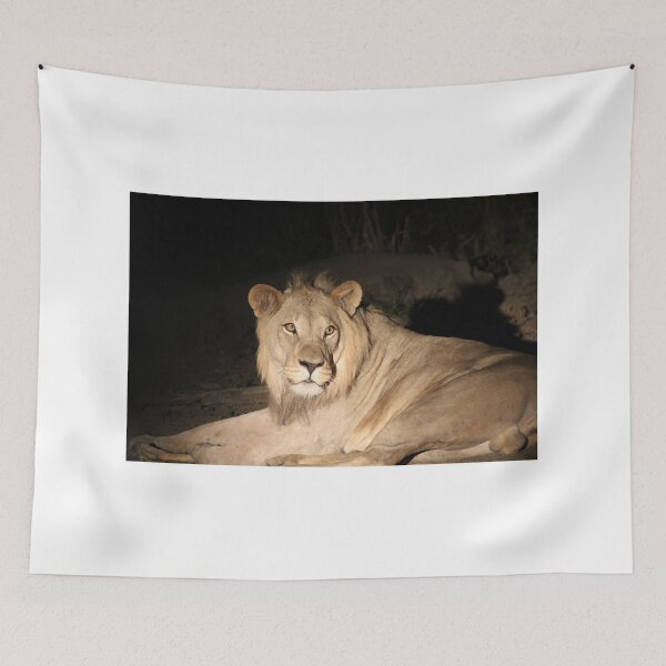 Item preview, Resting Africa Lion designed and sold by SliceOfTheWild.
