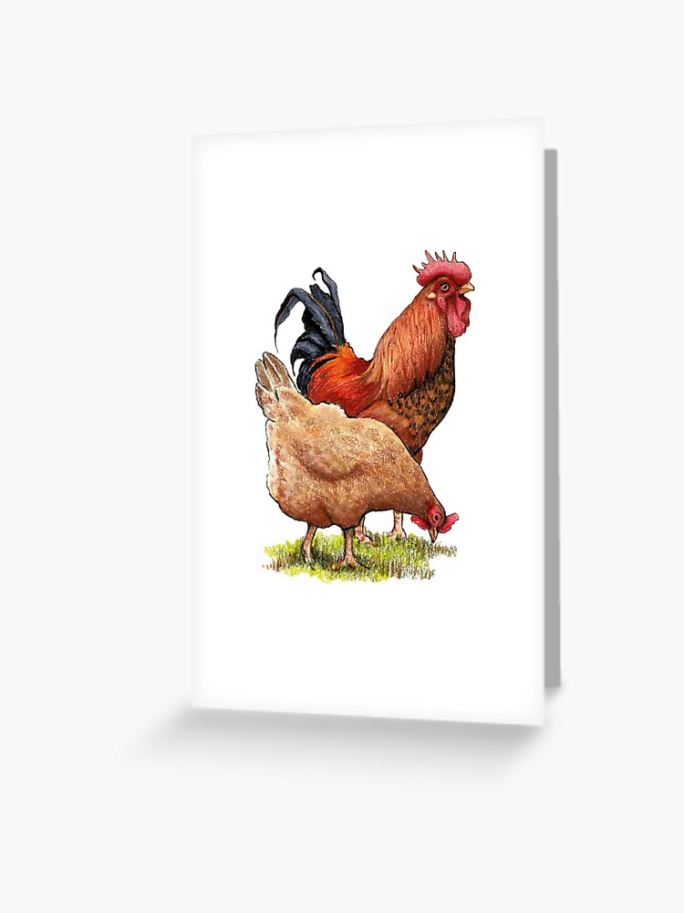 Pin on Rooster and Hen Home Decorations