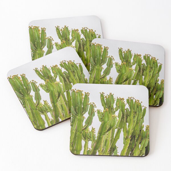 Item preview, Cacti Soldiers against a pale sky designed and sold by Dalyndigital Photography.