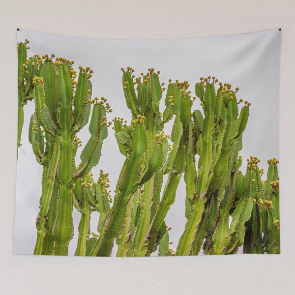 Item preview, Cacti Soldiers against a pale sky designed and sold by Dalyndigital Photography.