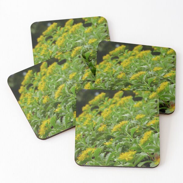 Item preview, Yellow Sedums at Stromso designed and sold by Jouko Lehto Photography.