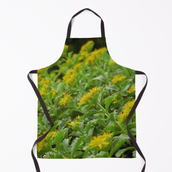 Item preview, Yellow Sedums at Stromso designed and sold by Jouko Lehto Photography.