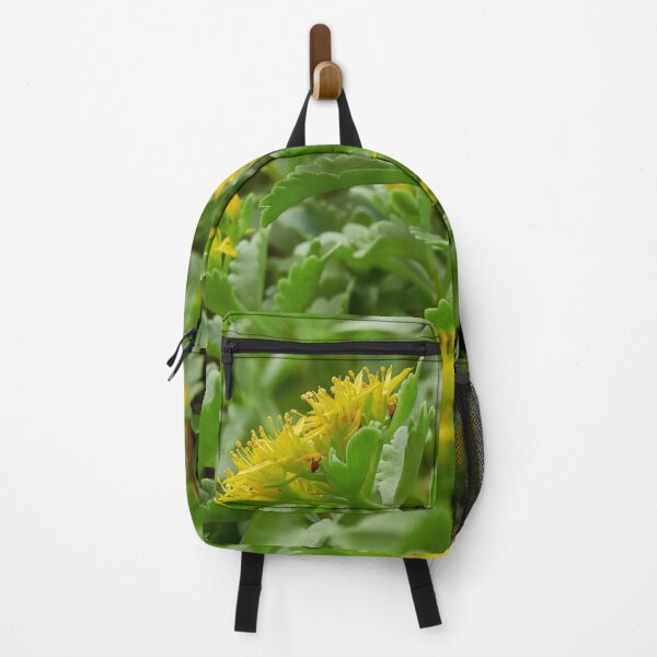 Item preview, Yellow Sedums at Stromso designed and sold by Jouko Lehto Photography.