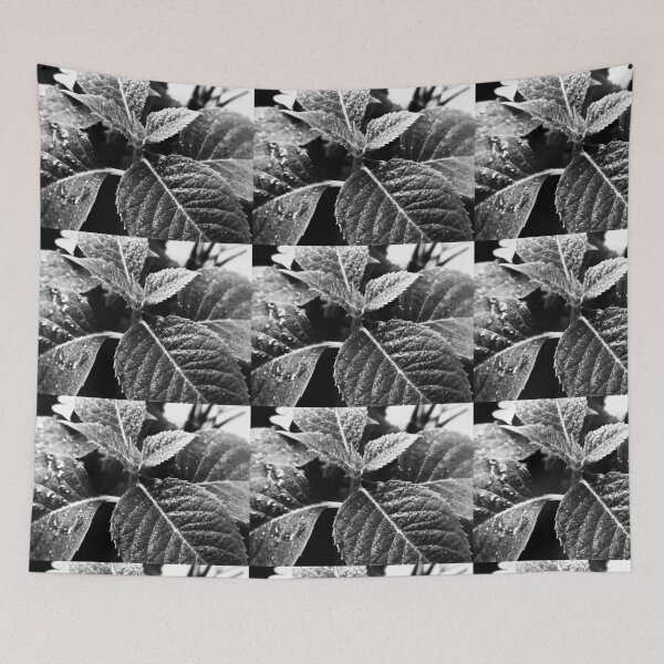 Item preview, black and white plant photo designed and sold by DitmarShullani.