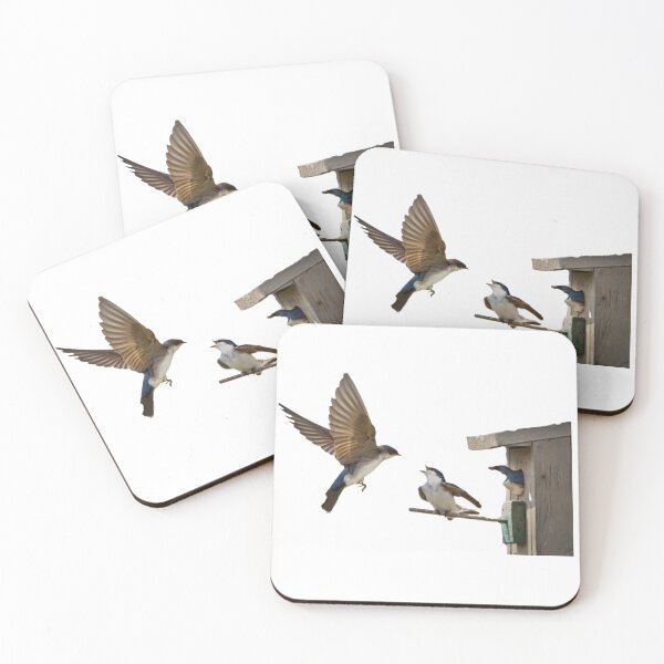 Item preview, Swallows, small bird cages, birds, the United States, swallows (Swallow) is the collective name for 74 species of passerine swallows designed and sold by zenger2021.