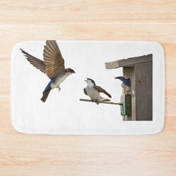 Item preview, Swallows, small bird cages, birds, the United States, swallows (Swallow) is the collective name for 74 species of passerine swallows designed and sold by zenger2021.