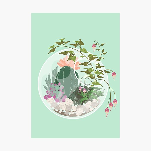 Round Terrarium Photographic Print