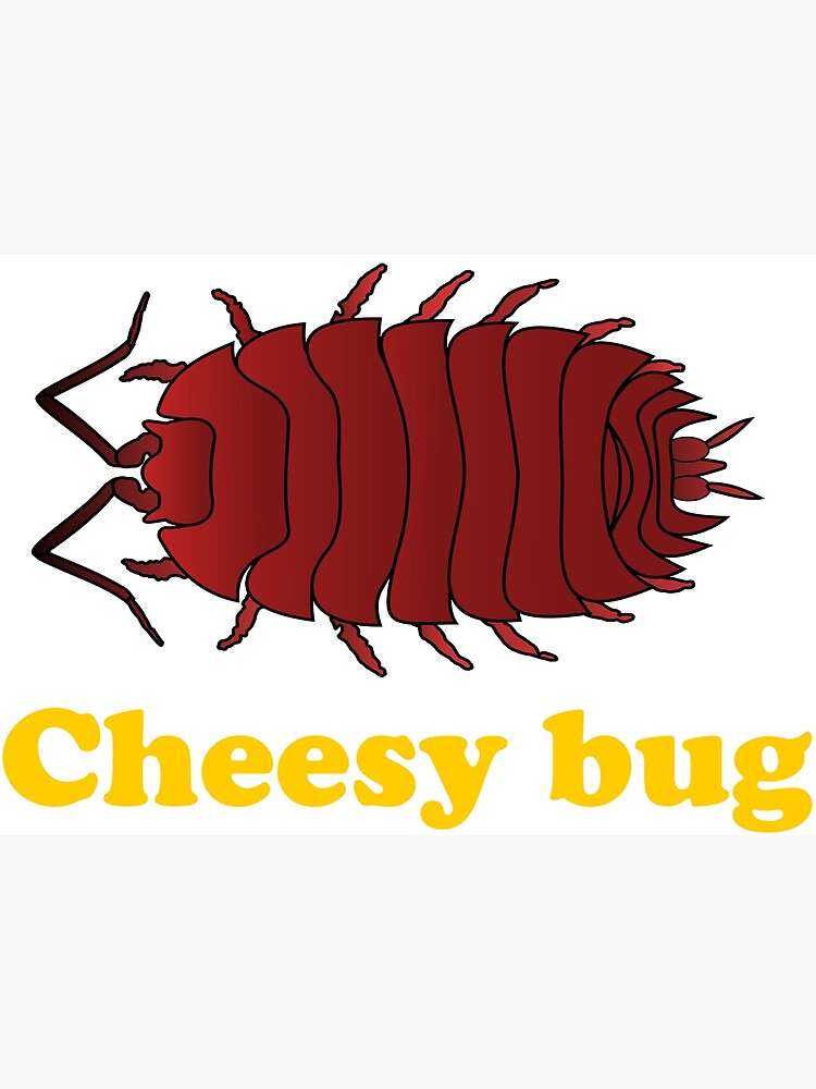 "Cheesy bug" Poster for Sale by Craigofski Redbubble