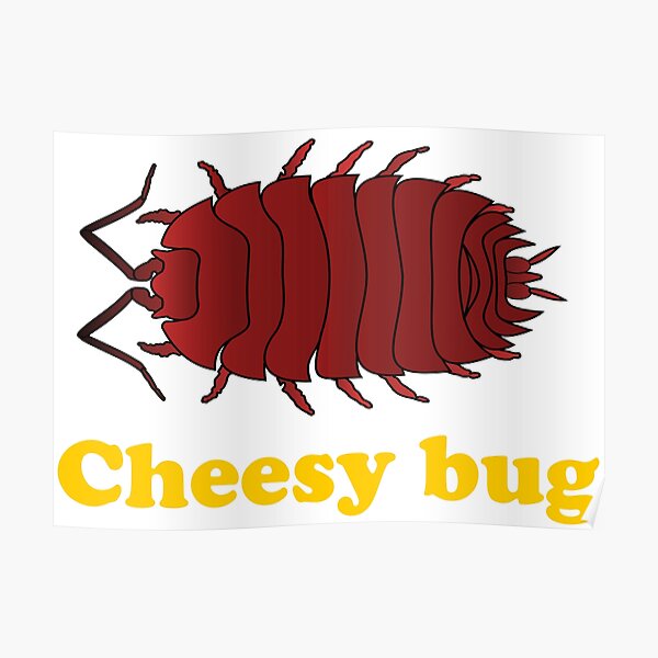"Cheesy bug" Poster for Sale by Craigofski Redbubble