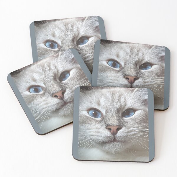 Item preview, Beautiful lynx ragdoll face designed and sold by Fluffycat2020.