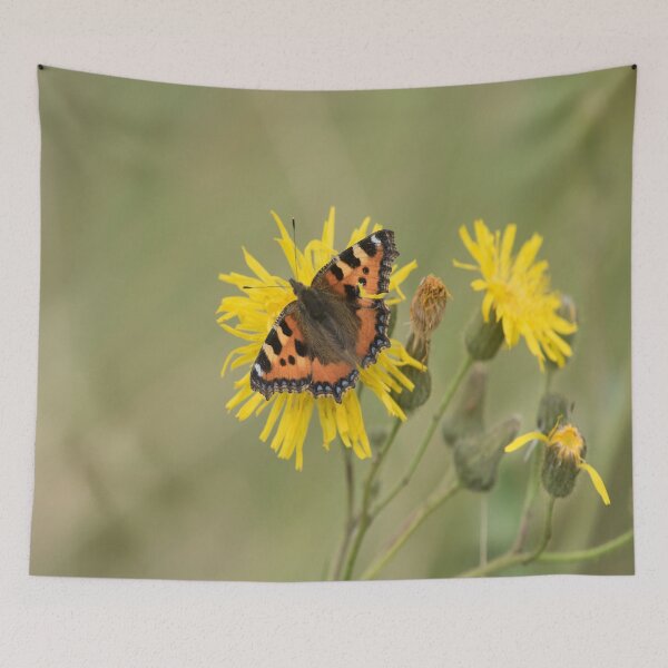 Item preview, Small Tortoiseshell (Aglais urticae) on a Dandelion designed and sold by Chris Monks.