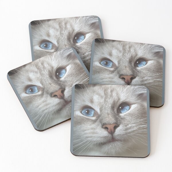 Item preview, Beautiful lynx ragdoll face designed and sold by Fluffycat2020.