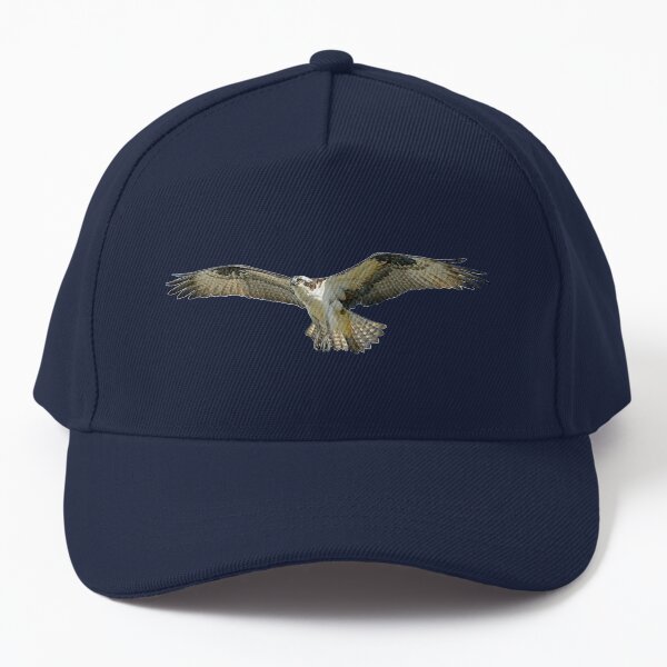 Osprey Fish Hawk Soaring Baseball Cap
