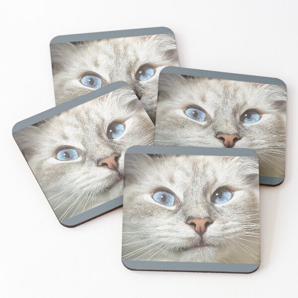 Item preview, Beautiful lynx ragdoll face designed and sold by Fluffycat2020.