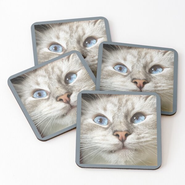 Item preview, Beautiful lynx ragdoll face designed and sold by Fluffycat2020.