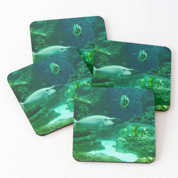 Item preview, Short-Nosed Unicornfish designed and sold by Martina Nicolls.