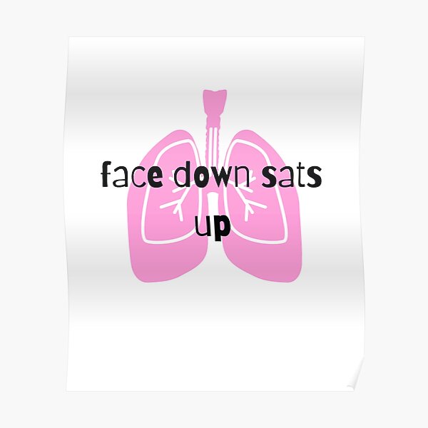 "Face down sats up" Poster for Sale by HoffmanDesign Redbubble
