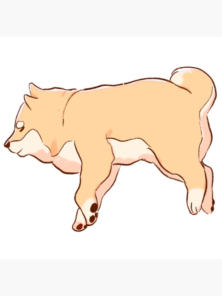 chonky shiba inu