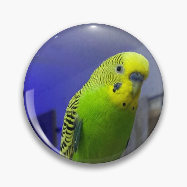 Item preview, Cute Budgie Bird designed and sold by Capture  Room.