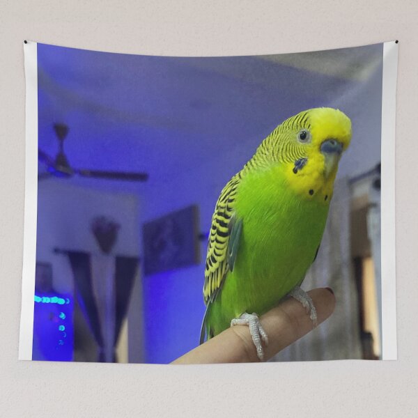 Item preview, Cute Budgie Bird designed and sold by Capture  Room.