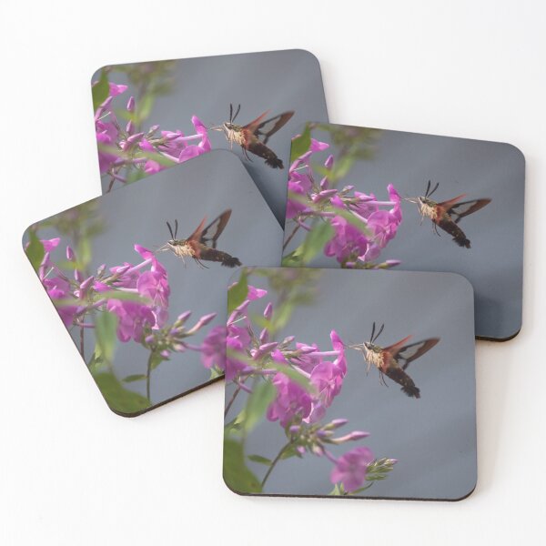 Item preview, Humming Bird Moth designed and sold by RoseC.