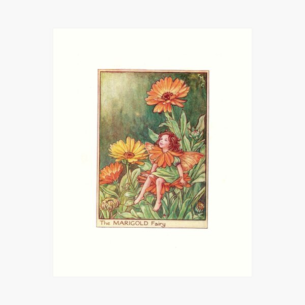 Magnificent Marigold Fairy Art Print