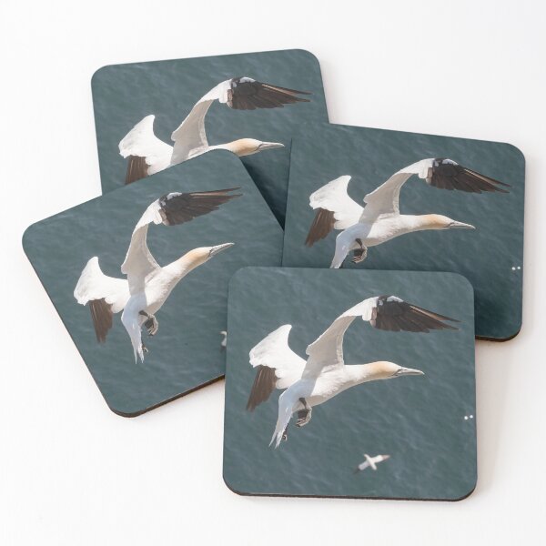 Item preview, Gannet in Flight designed and sold by Tony Skerl.